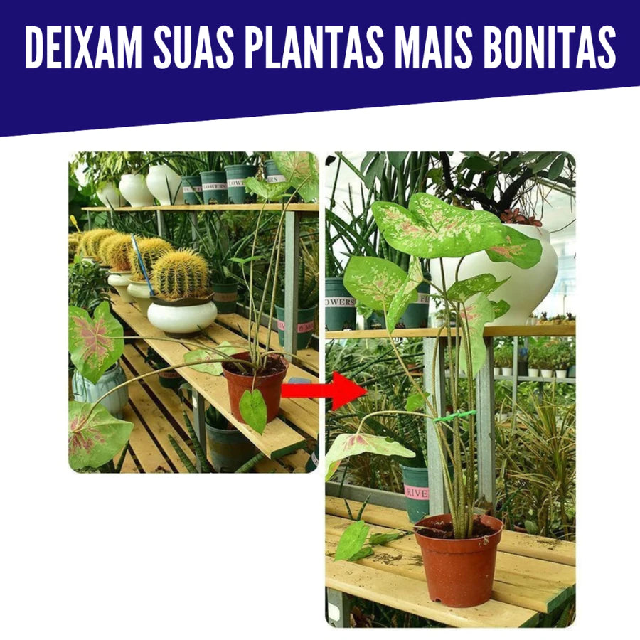 Suporte para segurar cabos de planta - 4 peças